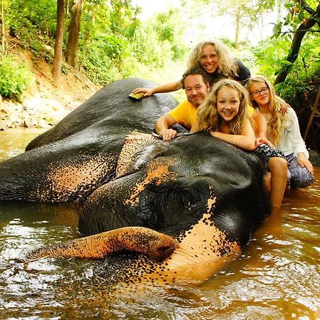 Jungle Village Homestay Пиннавела Экстерьер фото