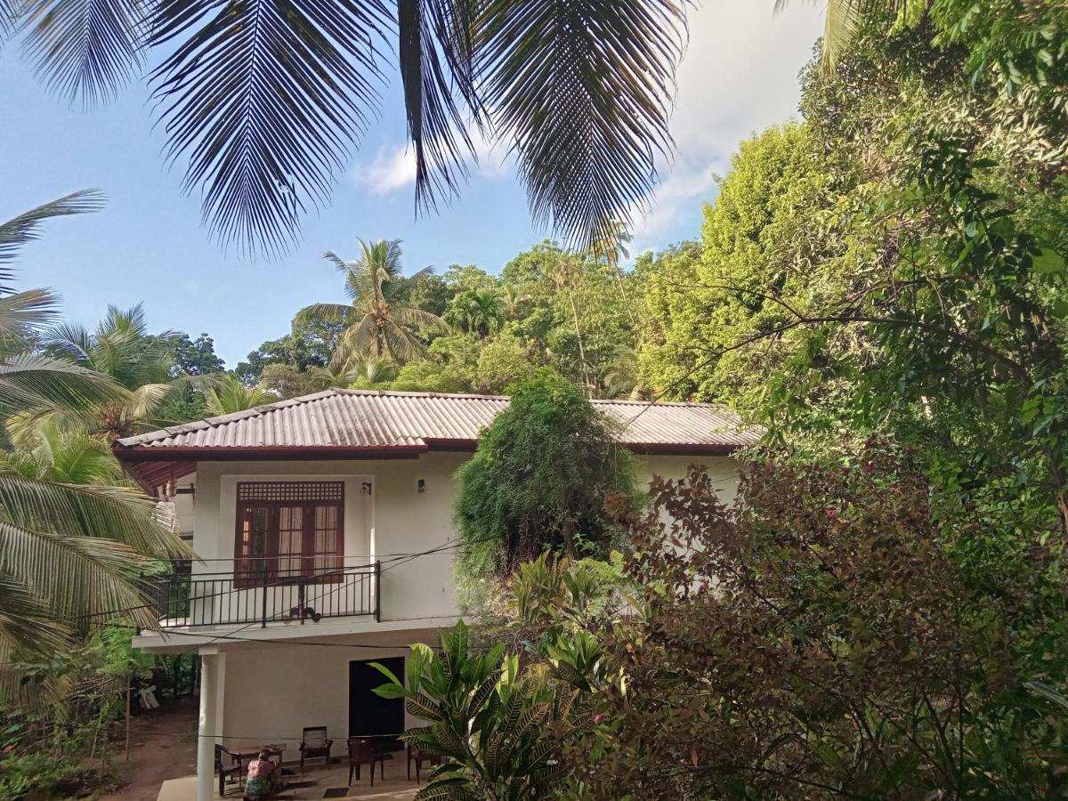 Jungle Village Homestay Пиннавела Экстерьер фото
