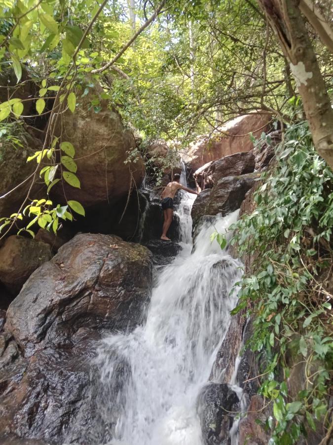 Jungle Village Homestay Пиннавела Экстерьер фото