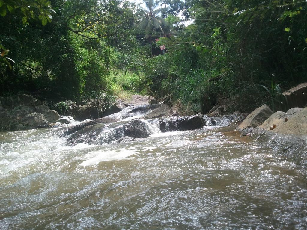 Jungle Village Homestay Пиннавела Экстерьер фото