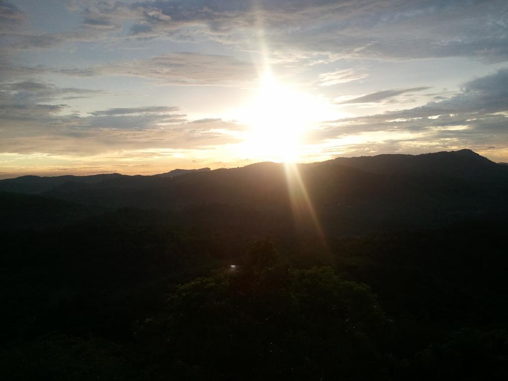 Jungle Village Homestay Пиннавела Экстерьер фото