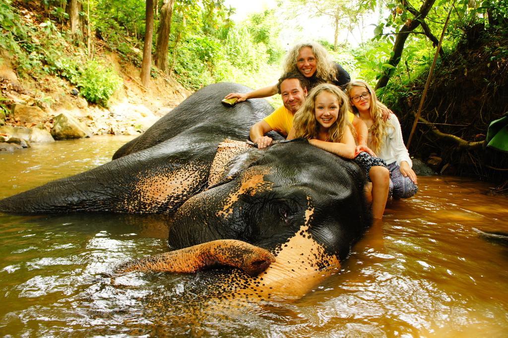 Jungle Village Homestay Пиннавела Экстерьер фото